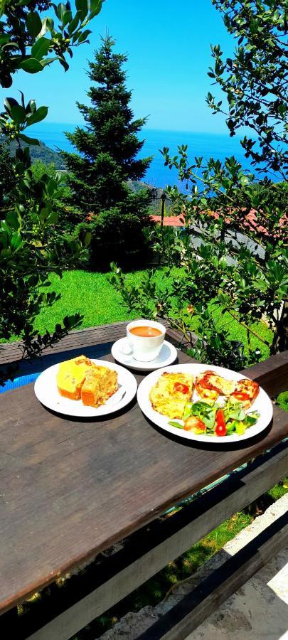 Gasthaus Golden Mountain Anilio Pelion Exterior foto